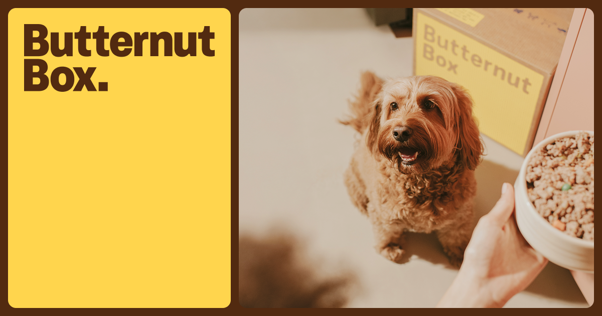 Butternut Box 官网页面图片或品牌图标