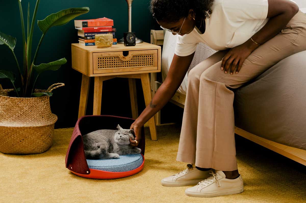 Cat Person 官网页面图片或品牌图标