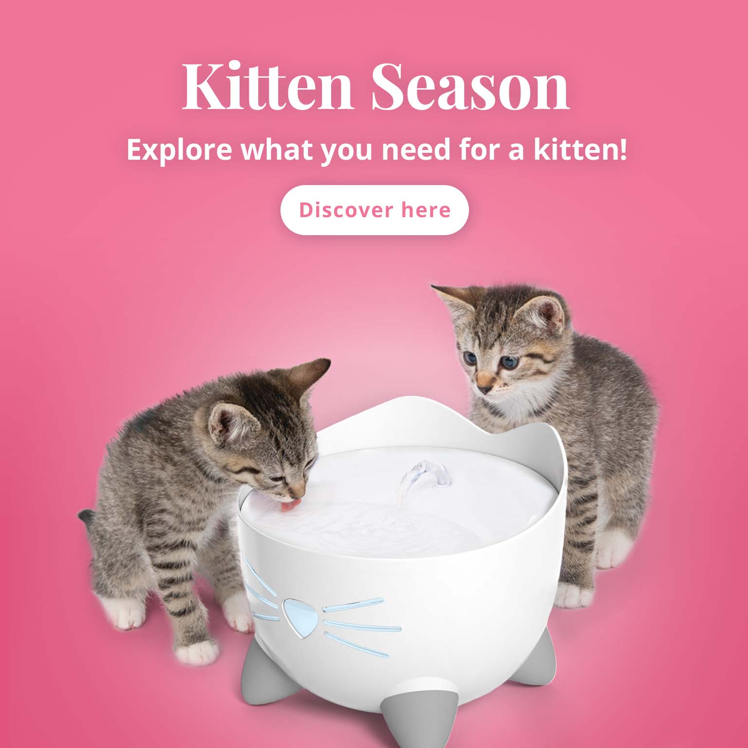 Catit 官网页面图片或品牌图标