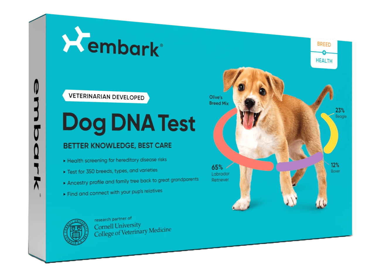 Embark 官网页面图片或品牌图标