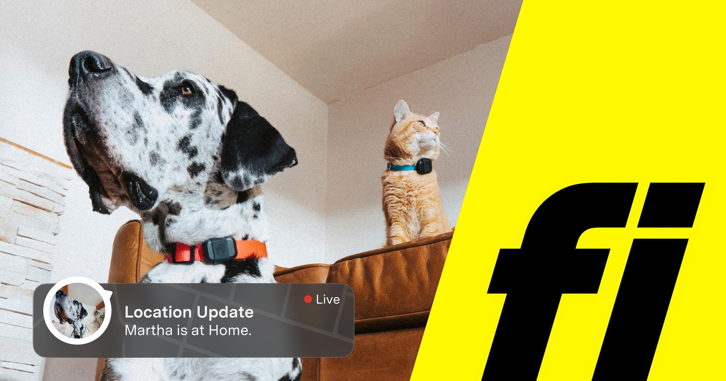 Fi Smart Dog Collar 官网页面图片或品牌图标