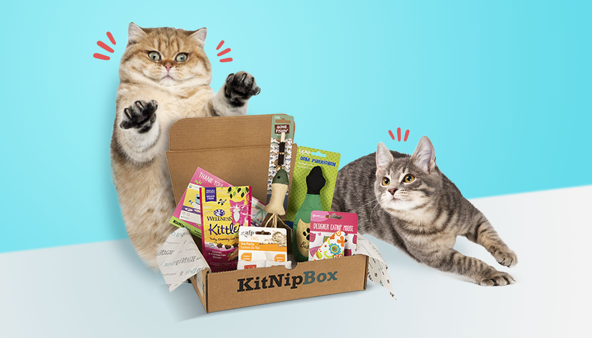 KitNipBox 官网页面图片或品牌图标