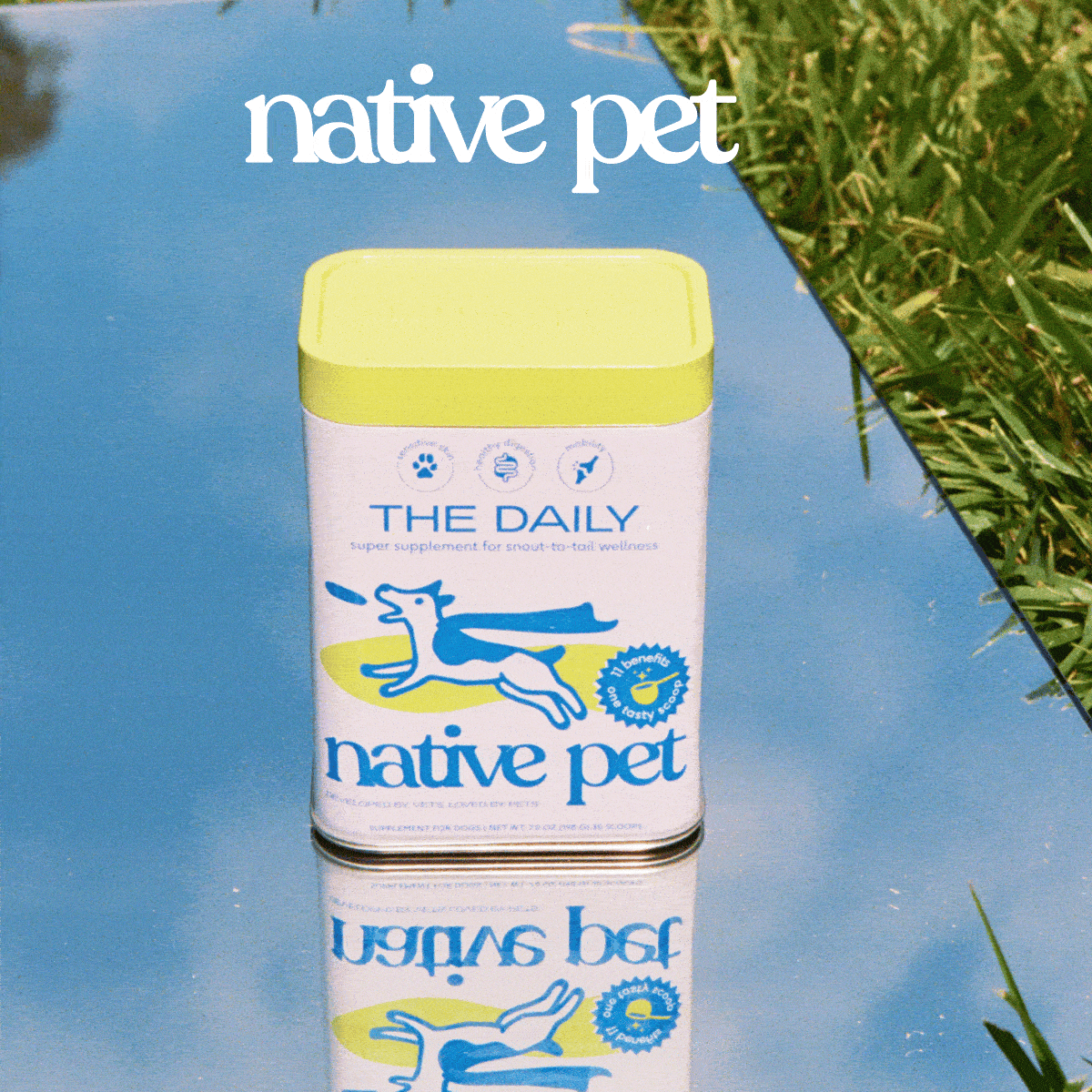 Native Pet 官网页面图片或品牌图标