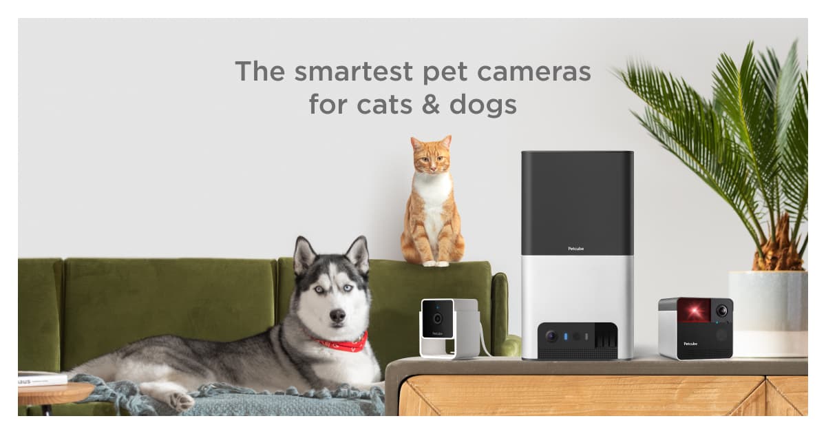 Petcube 官网页面图片或品牌图标