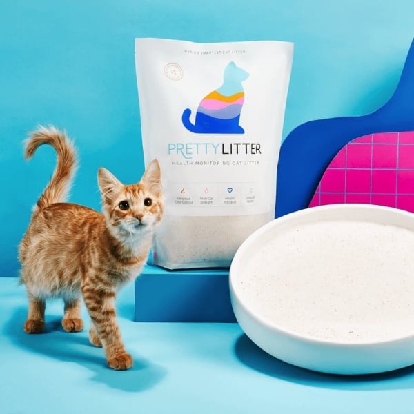 PrettyLitter 官网页面图片或品牌图标