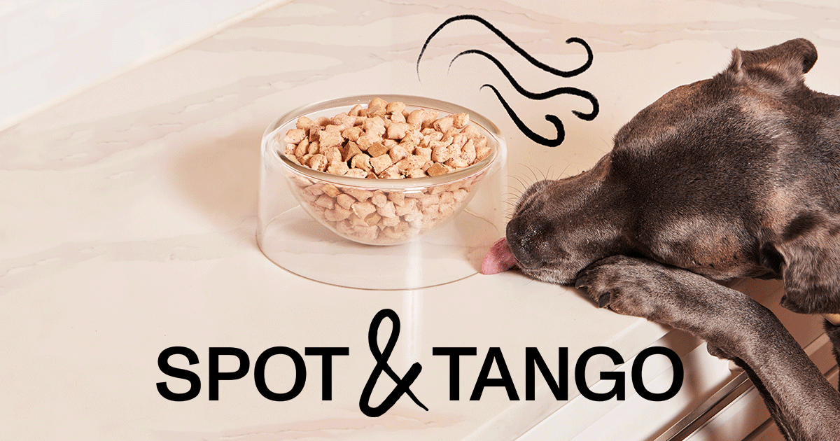 Spot & Tango 官网页面图片或品牌图标