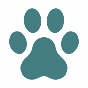 WildWash 官网页面图片或品牌图标